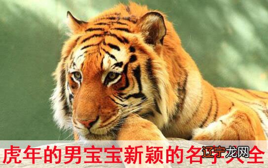虎年女孩取名技巧字音要注意哪些出生的女宝宝