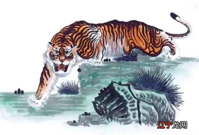 先成家后再立业,婚姻旺夫十足的3大生肖