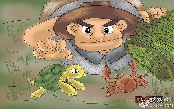 梦见宰杀乌龟 Note系列手机绘画体验之是不是有点