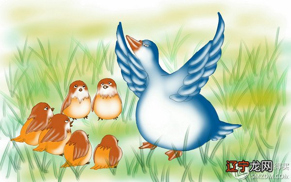 梦见宰杀乌龟 Note系列手机绘画体验之是不是有点