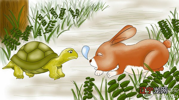 梦见宰杀乌龟 Note系列手机绘画体验之是不是有点