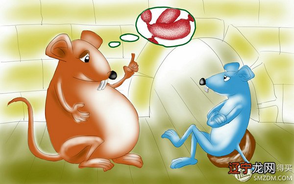 梦见宰杀乌龟 Note系列手机绘画体验之是不是有点