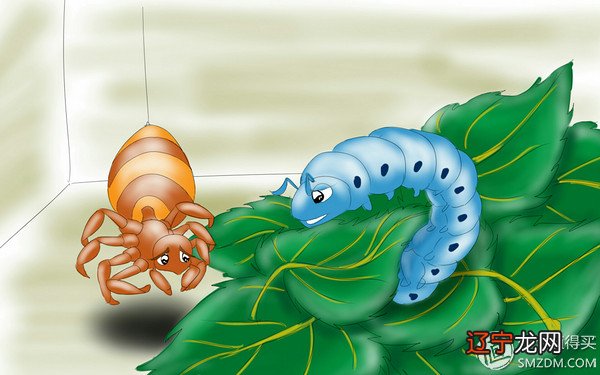 梦见宰杀乌龟 Note系列手机绘画体验之是不是有点