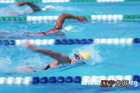 见别人游泳 2016年10月24日生肖运势