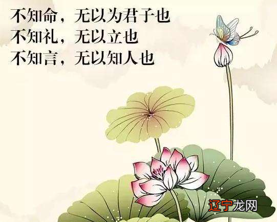 瀚林苑文化《風水·八字》公益讲座-课程内容