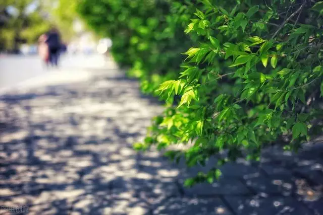 组图 十二星座更佳的配对对象,参考上升星座
