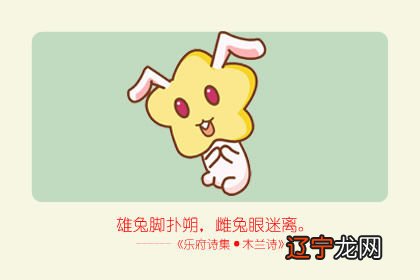 1999年是什么年?准确的生肖对应数字表