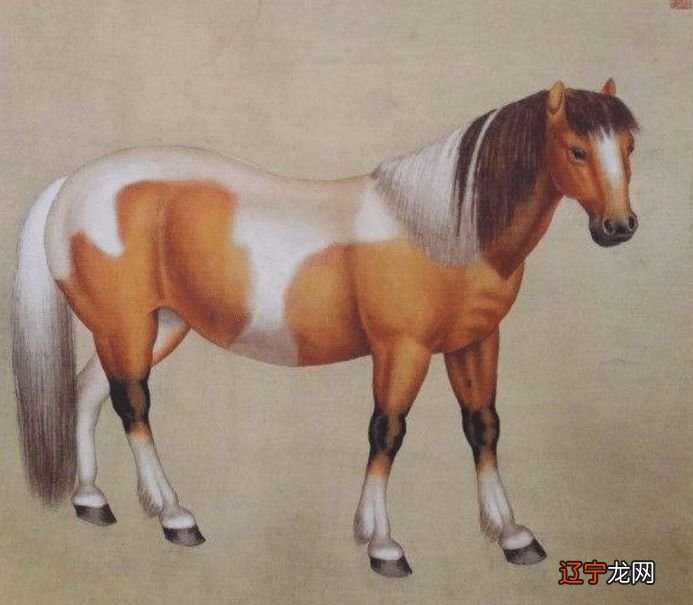 羊宝宝出生在农历几月出生,财源利达万事吉祥