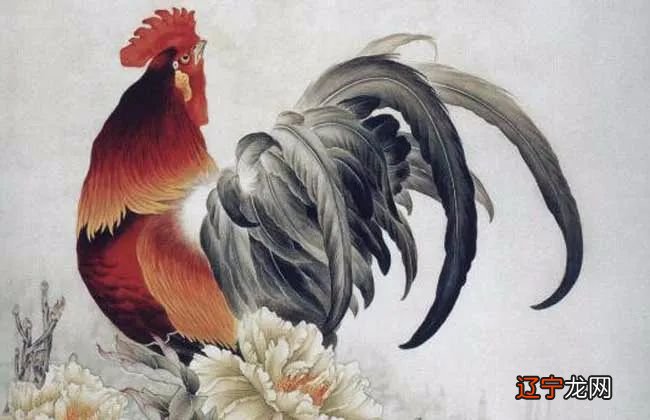 属鸡和属兔的人两个结婚会配吗？如何