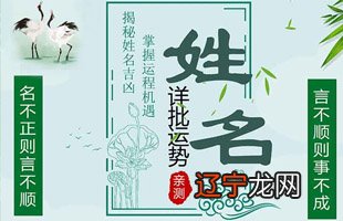 来测吧算命网风水堂:雷水解卦的外卦为震