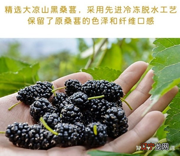 星座象性配对_火象和土象星座配对是怎样的?_星座火象水象风象哪些