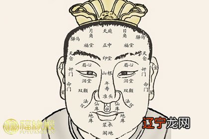 组图 图解如何看面相面相十观第一，观仪表