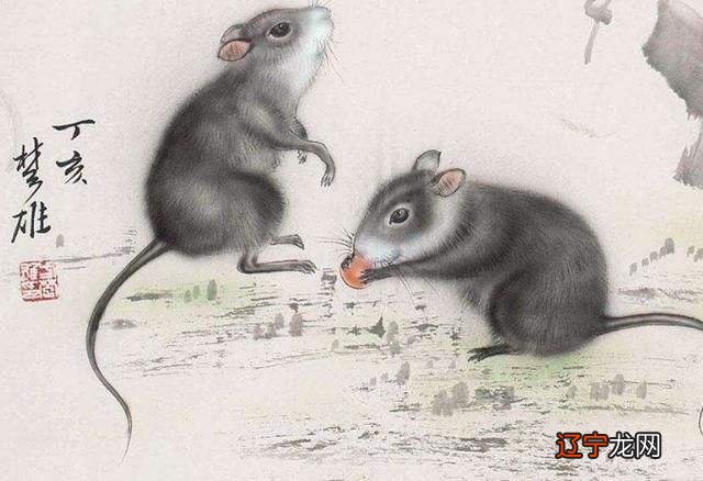 图 寅山申向适合五行中的什么行人住?