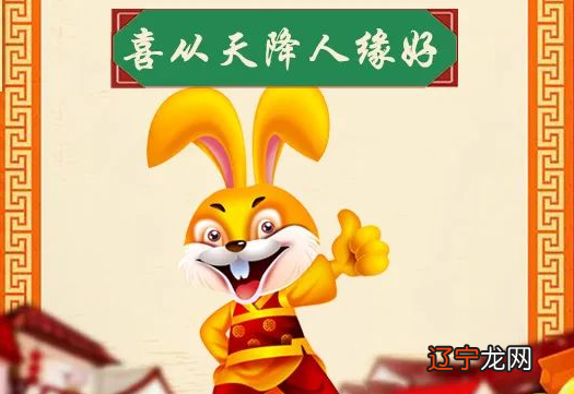 属鼠的人改运方法,看看你家有没有?