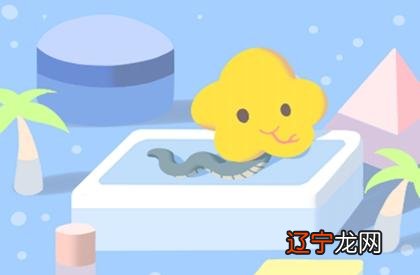 ,属蛇男性和属龙女性的配对情况如何?