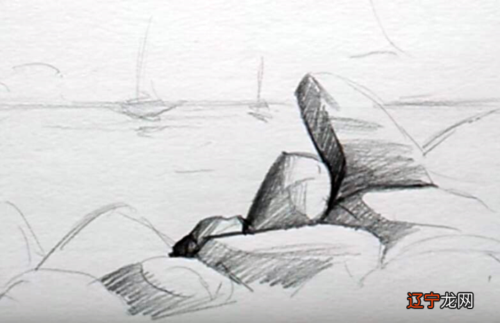 组图 给零基础新手的入门系列教程:今日教程