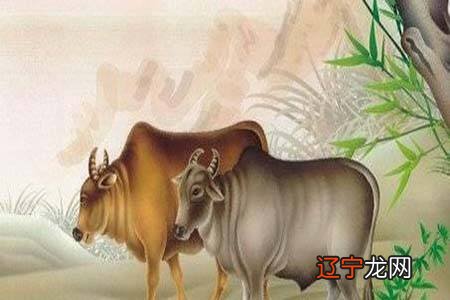 2020生肖牛1973出生女的婚姻状况咋样寿命到多少岁?