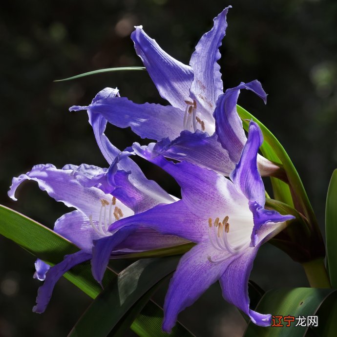 00—05时 ,,我梦见的内容是什么