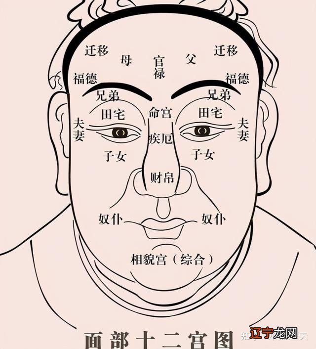【李向东】相学“五官”之中所象征的一些内容