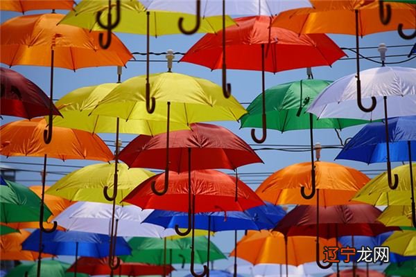 小编风水堂:梦见伞,预示一切顺心顺意