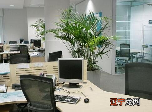 政府办公室工作怎么样_煤矿办公室工作怎么样_八字办公室