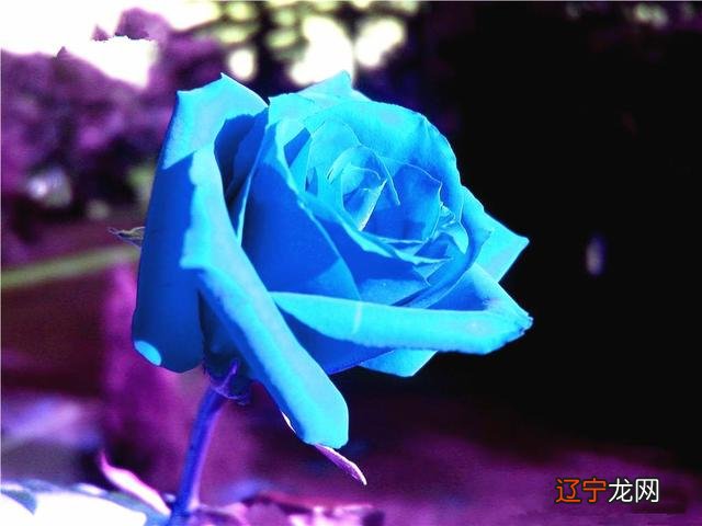 一下哪个属相的女人变得越来越年轻，一生不差钱！