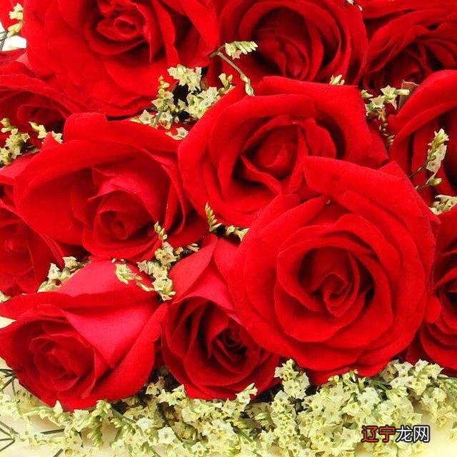 一下哪个属相的女人变得越来越年轻，一生不差钱！