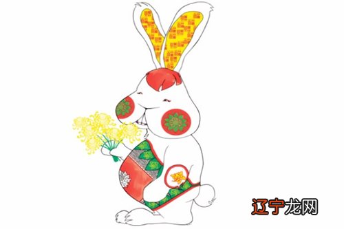 风水堂：属兔的男士异常、有礼