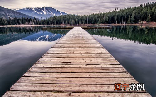 周公如何解释梦见鸳鸯是什么意思梦见鸟在空中飞