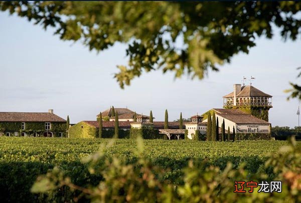 梦见葡萄庄园 珍藏已久昂贵的酒都是趋之如骛的吗?