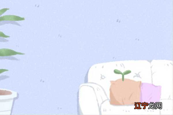 属猪的人命运如何?属猪运势怎么样?运势