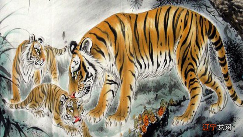 组图 2022年运势,虎年虎年八字流年运势查询