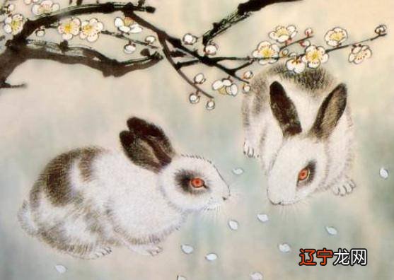 属兔人2021年全年运势详解，看看有你吗？