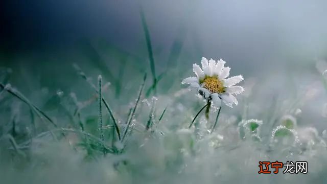 接下来,就让我们一起看下,都有哪些星座是这样的