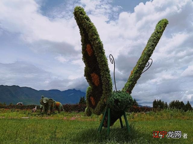 丽江旅游攻略:丽江秦时明月美宿,纳相缘茶马文化