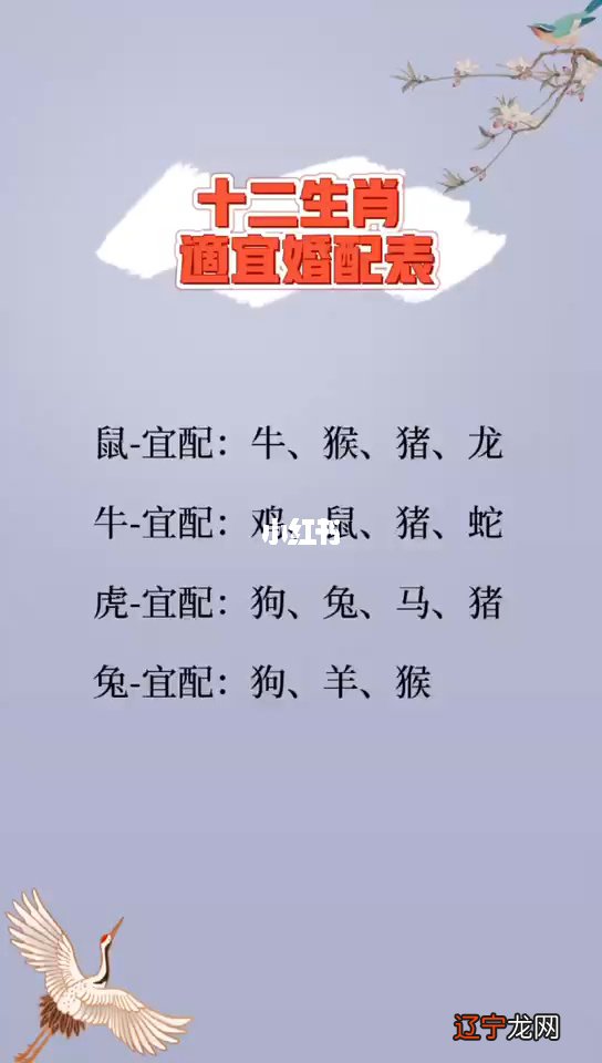 合婚地支相破_地支相破看婚姻_什么是地支相破