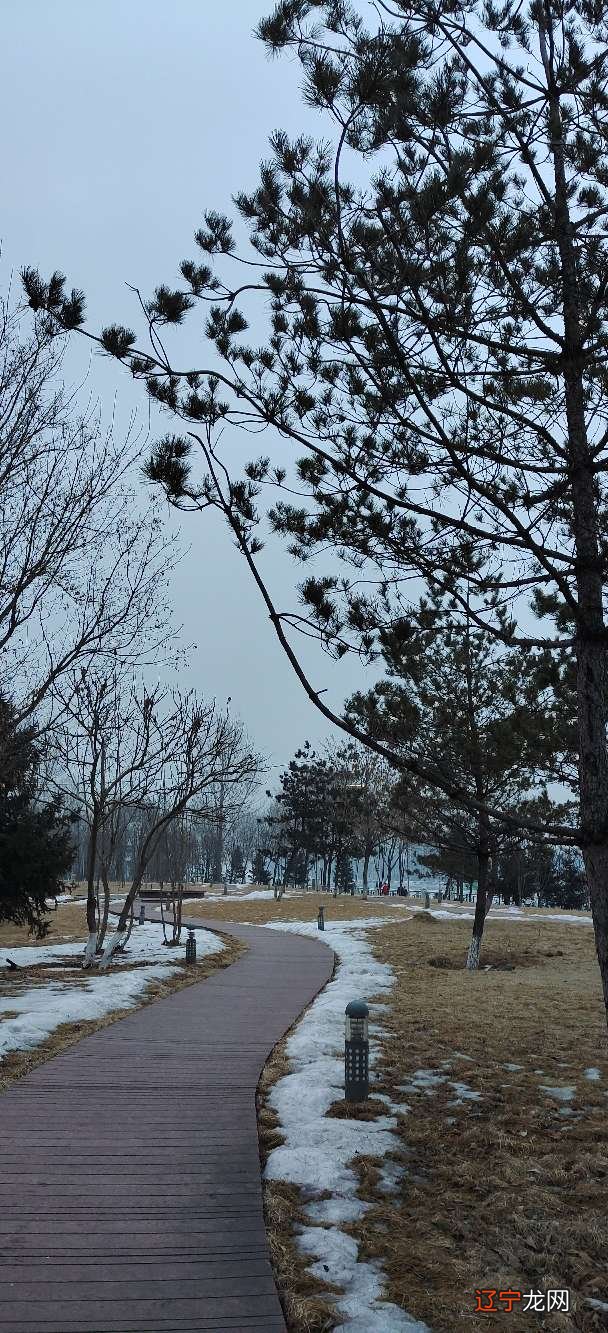 梦见在前夫家 你的快乐对我来说，而我的痛苦，对你来说同样轻如鸿毛