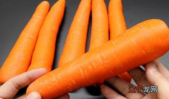 非常准 梦见胡萝卜，预示兴旺发达，健康快乐！