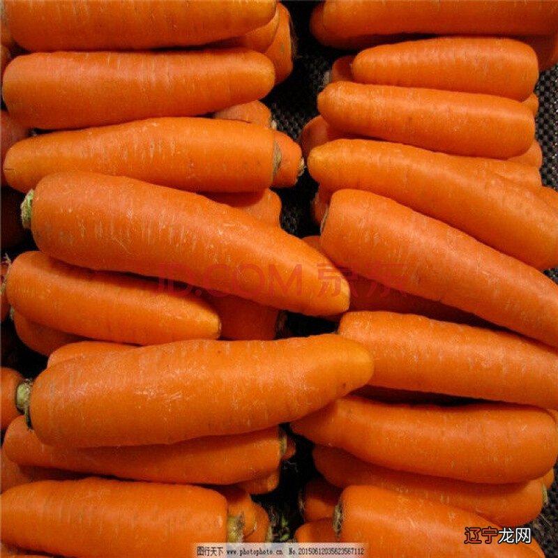 非常准 梦见胡萝卜，预示兴旺发达，健康快乐！