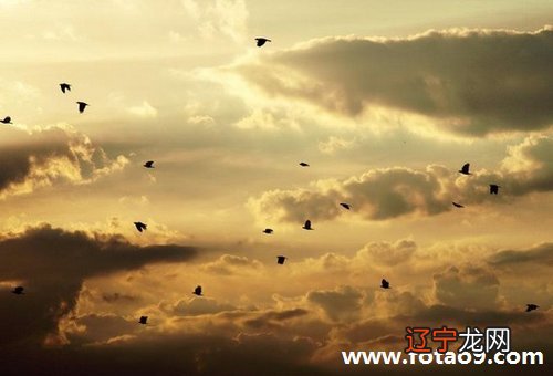 梦见自己穿孝服_梦见棺材和自己穿孝服_梦见有人抬棺材，穿孝服，有人哭