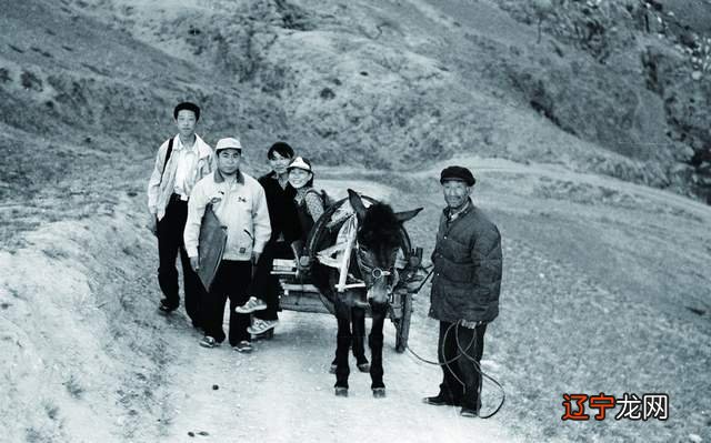 搜集天津文化、小吃民俗_文化民俗城镇_民俗文化的一种图解