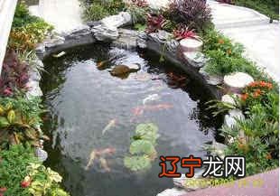 农村院子风水之水池设置中有哪些重点需要特别注意？