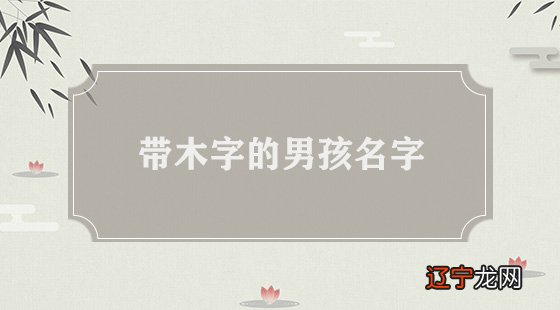 100分带木的男孩名字的文章内容，体现男孩人中龙凤之言