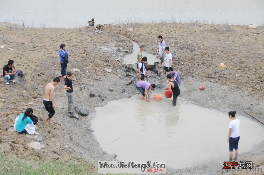 周公解梦：梦到抓草鱼的梦境预示什么？预示你会取得成功