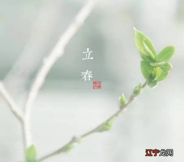 人中三奇命是_术数中三奇是什么_三奇命是什么意思啊