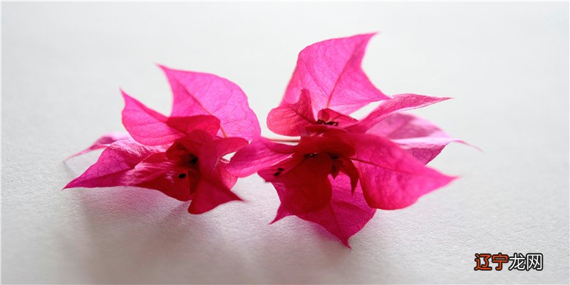 孕妇做梦见桃子多有预示生男生女的意思是什么呢?