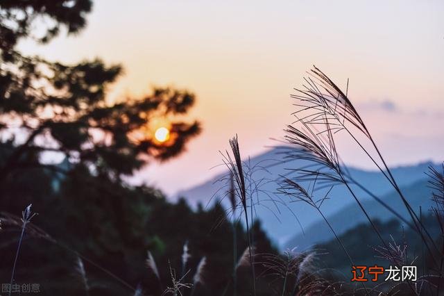 什么星座最喜欢天秤座没有哪个人能真正地去控制人