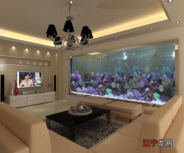 风水堂:金鱼养几条好风水鱼缸