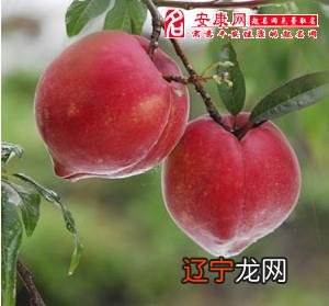 女人梦见分桃子好不好有什么说法？预示你会财运亨通