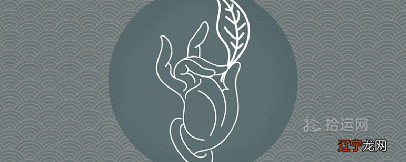 图 家里种植松树,可以种在家里吗?